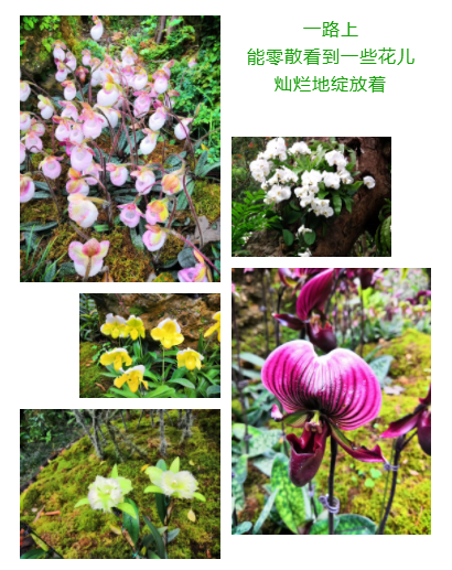 QQ图片20190409135226.png